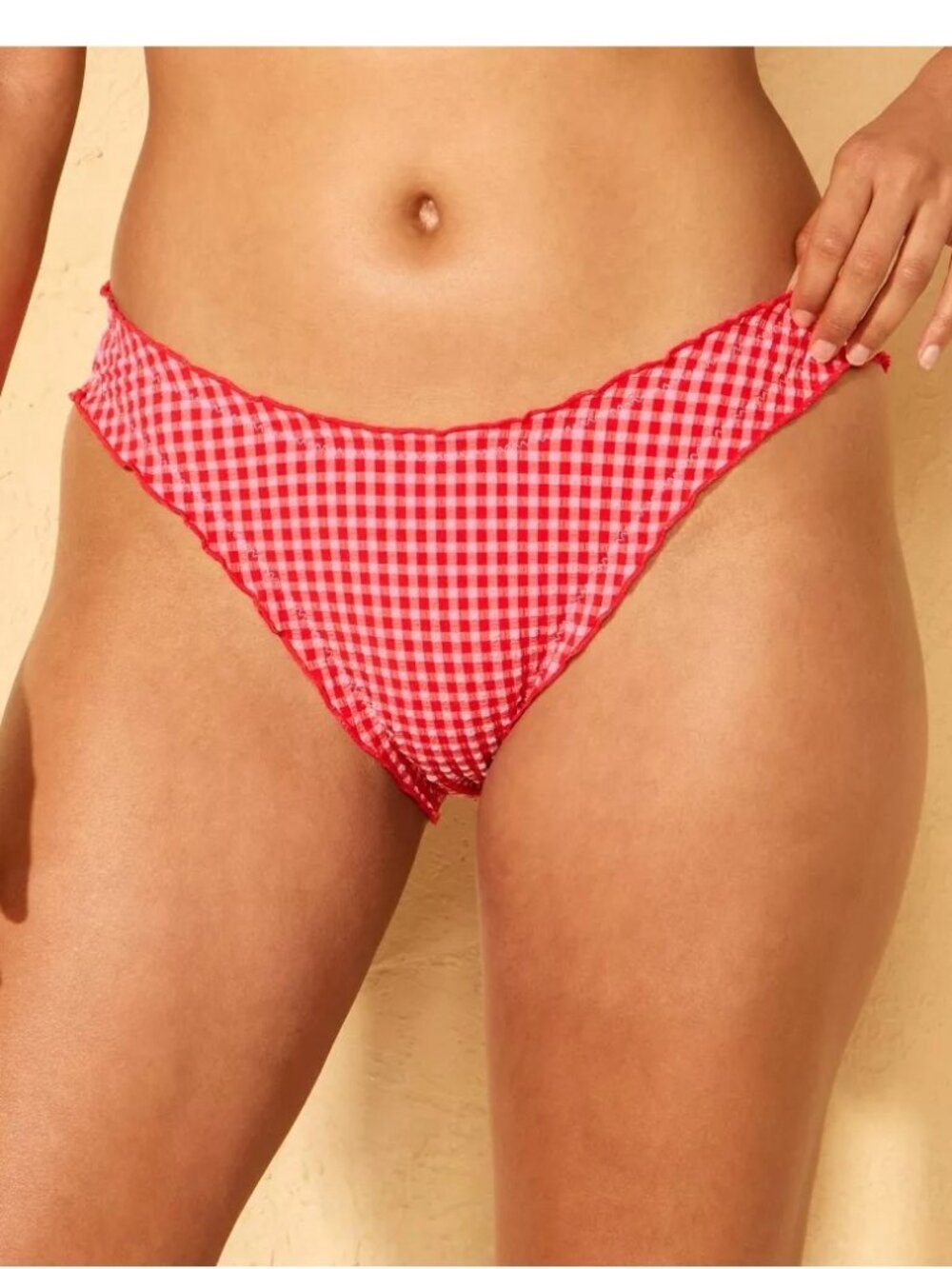NEW Wild Fable Gingham Seersucker Ruffle Low-Rise High Leg Bikini Bottom
